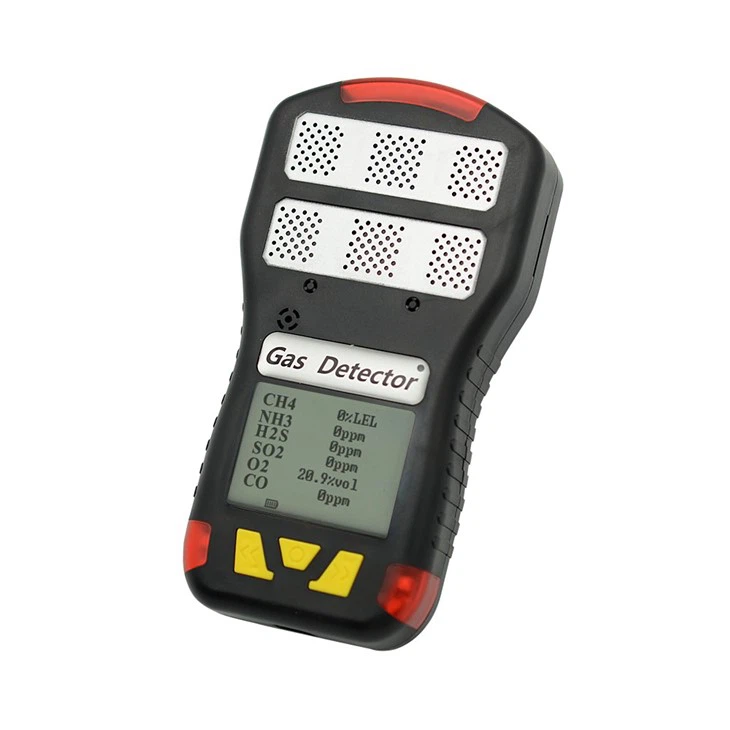 6 Gas Detector