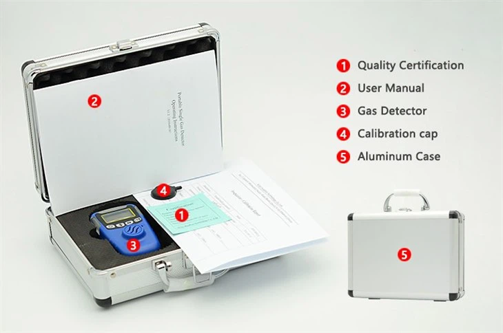 Portable H2S Detector